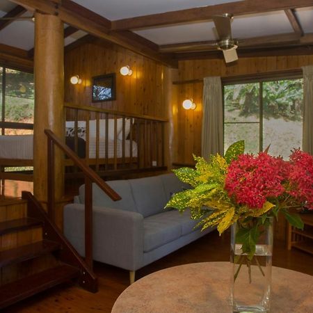 קוקטאון Milkwood Lodge מראה חיצוני תמונה