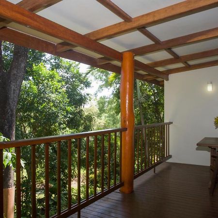 קוקטאון Milkwood Lodge מראה חיצוני תמונה