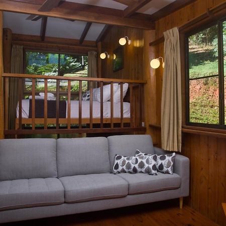 קוקטאון Milkwood Lodge מראה חיצוני תמונה