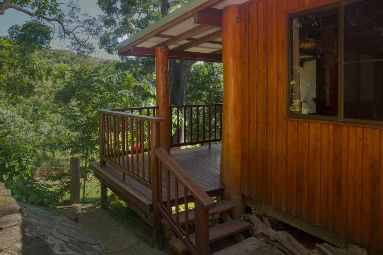 קוקטאון Milkwood Lodge מראה חיצוני תמונה