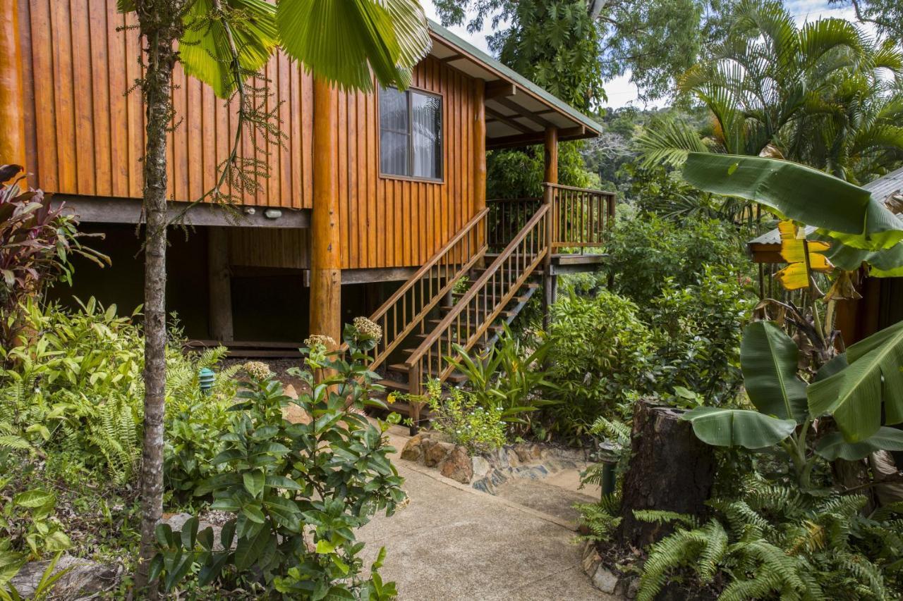 קוקטאון Milkwood Lodge מראה חיצוני תמונה