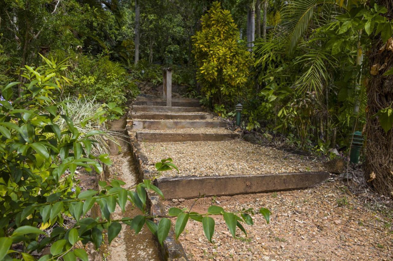 קוקטאון Milkwood Lodge מראה חיצוני תמונה